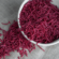 Beetroot Sev